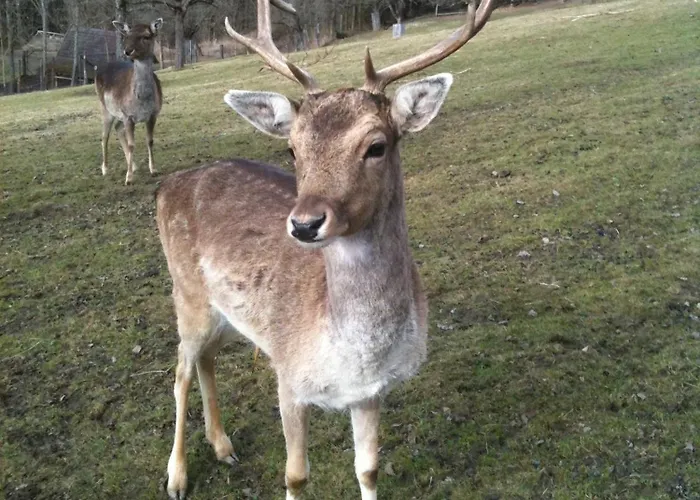 Schlossbrauerei Weinberg - Erste Ooe. Gasthausbrauerei Πανδοχείο 3*